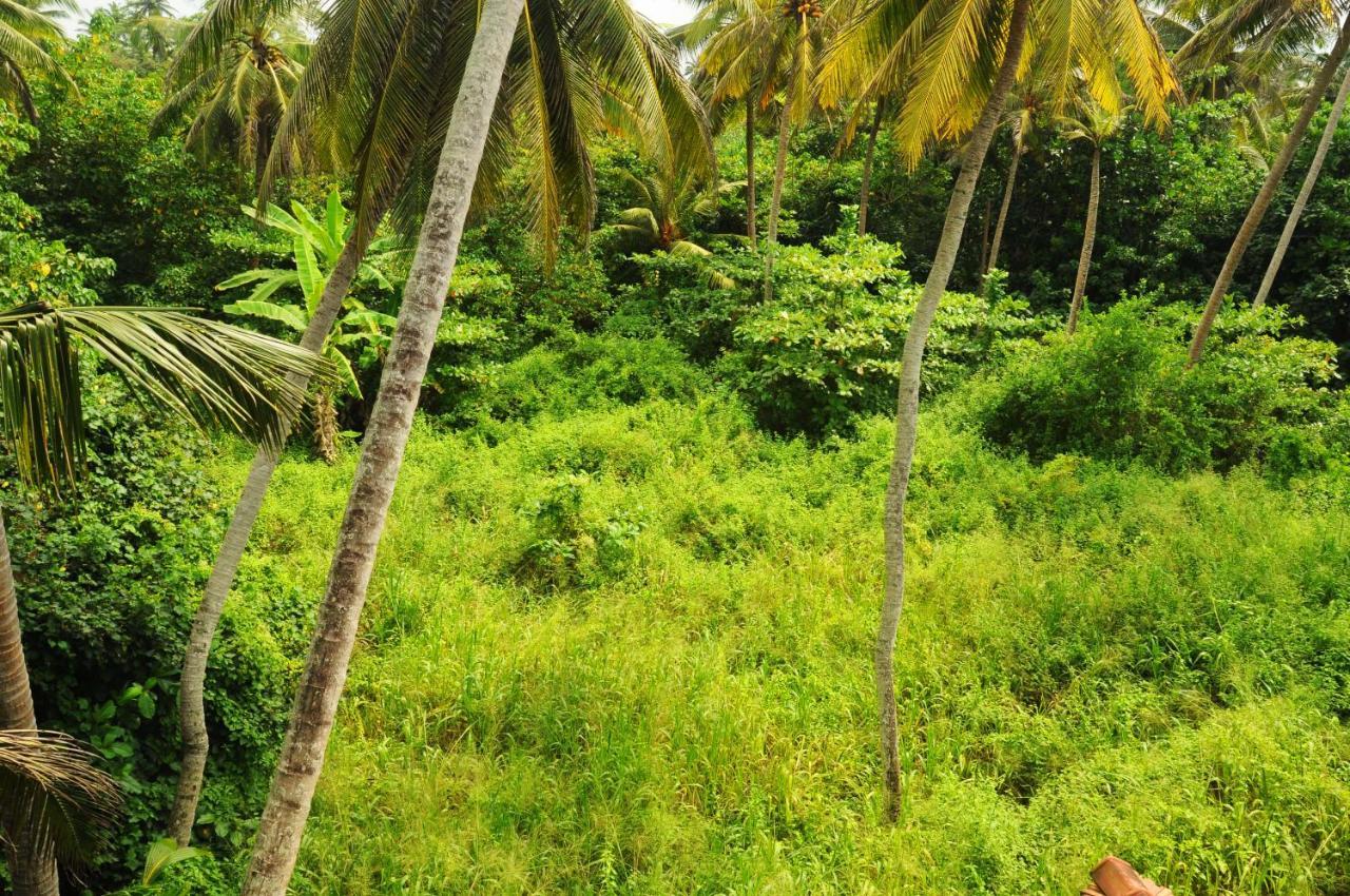 Deutsch Lanka Hotel Telwatta Dış mekan fotoğraf